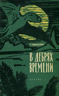 Чижевский Г.М. - В дебрях времени