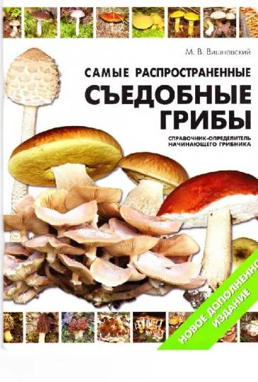 Вишневский М.В. - Самые распространенные съедобные грибы