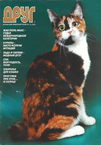Друг. Журнал для любителей кошек (18 номеров)