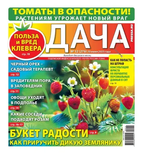 Дача Pressa.ru (278 номеров)