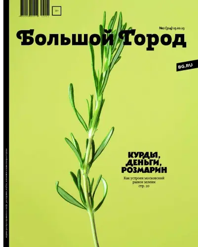 Большой город (318 выпусков)