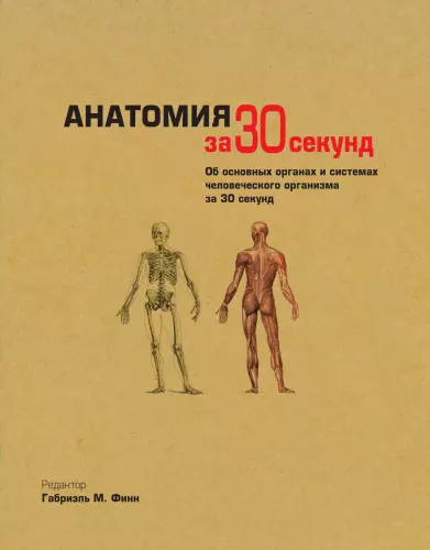 Габриэля Финна - Анатомия за 30 секунд