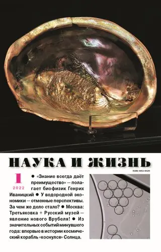 Наука и жизнь (1085 номеров)