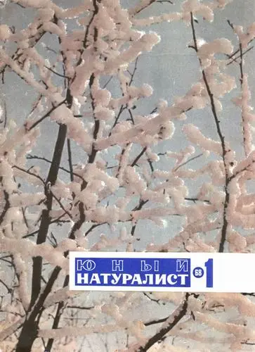 Юный натуралист (220 номеров)