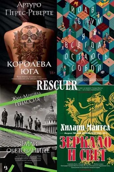 Серия - «Большой роман» [234 книги]