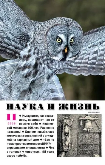 Наука и жизнь №11 (Ноябрь)