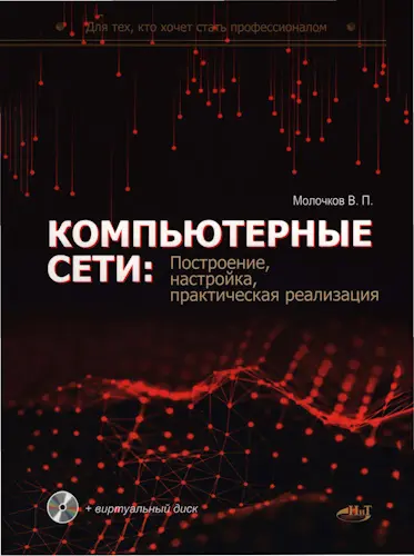 Молочков В. П. - Компьютерные сети: построение, настройка, практическая реализация + виртуальный диск
